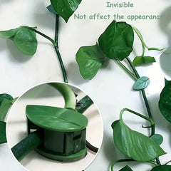 Plant Climbing Wall Fixture Clip (30 Pcs Set)